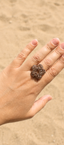 La bague Scintillante