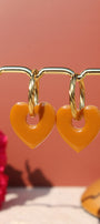 Amor _ Terre de Sienne
