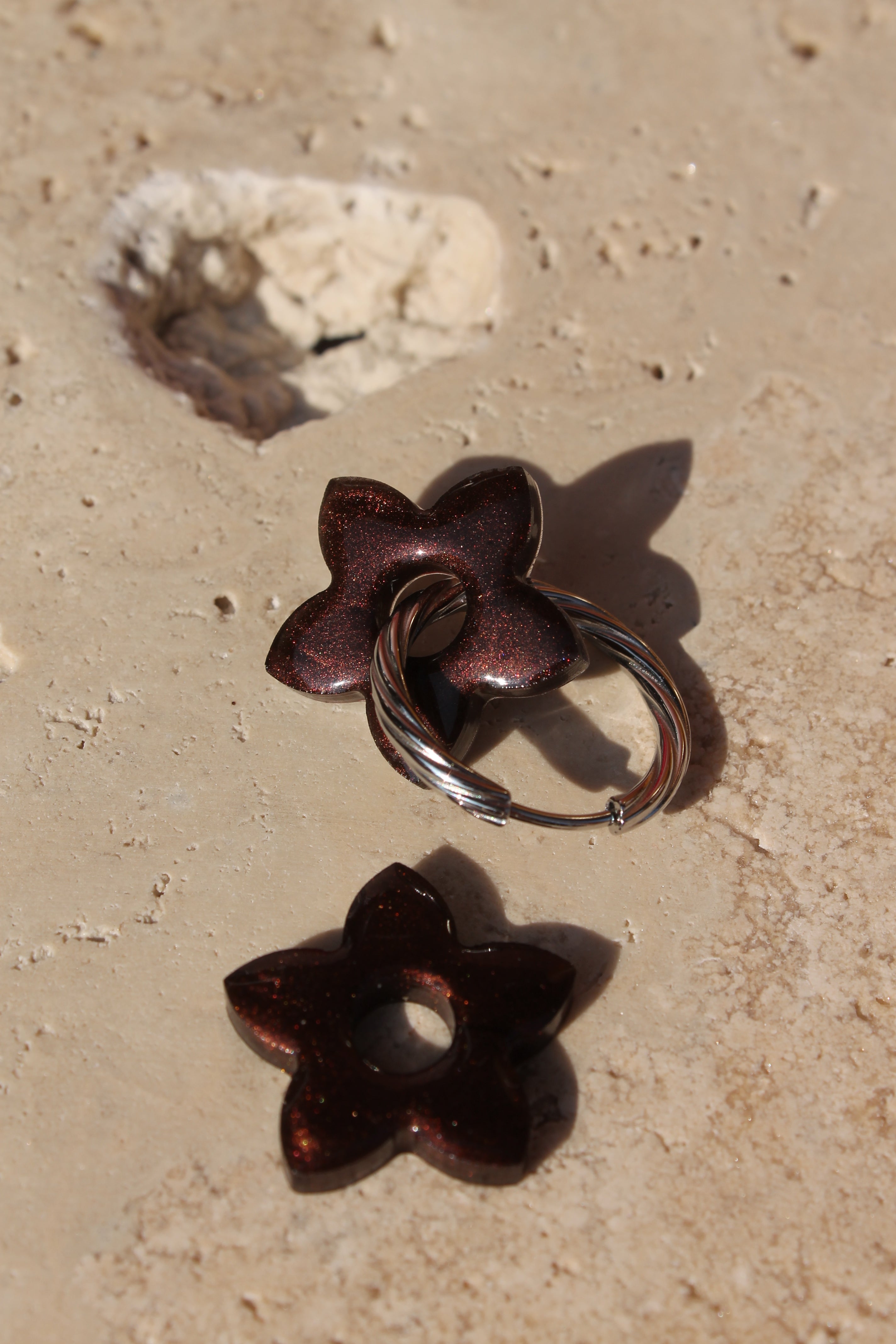 Céleste  _ Chocolat intense