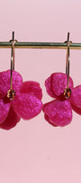 Les Florettes _ Fuschia