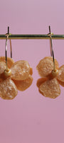 Les Florettes _ Abricot