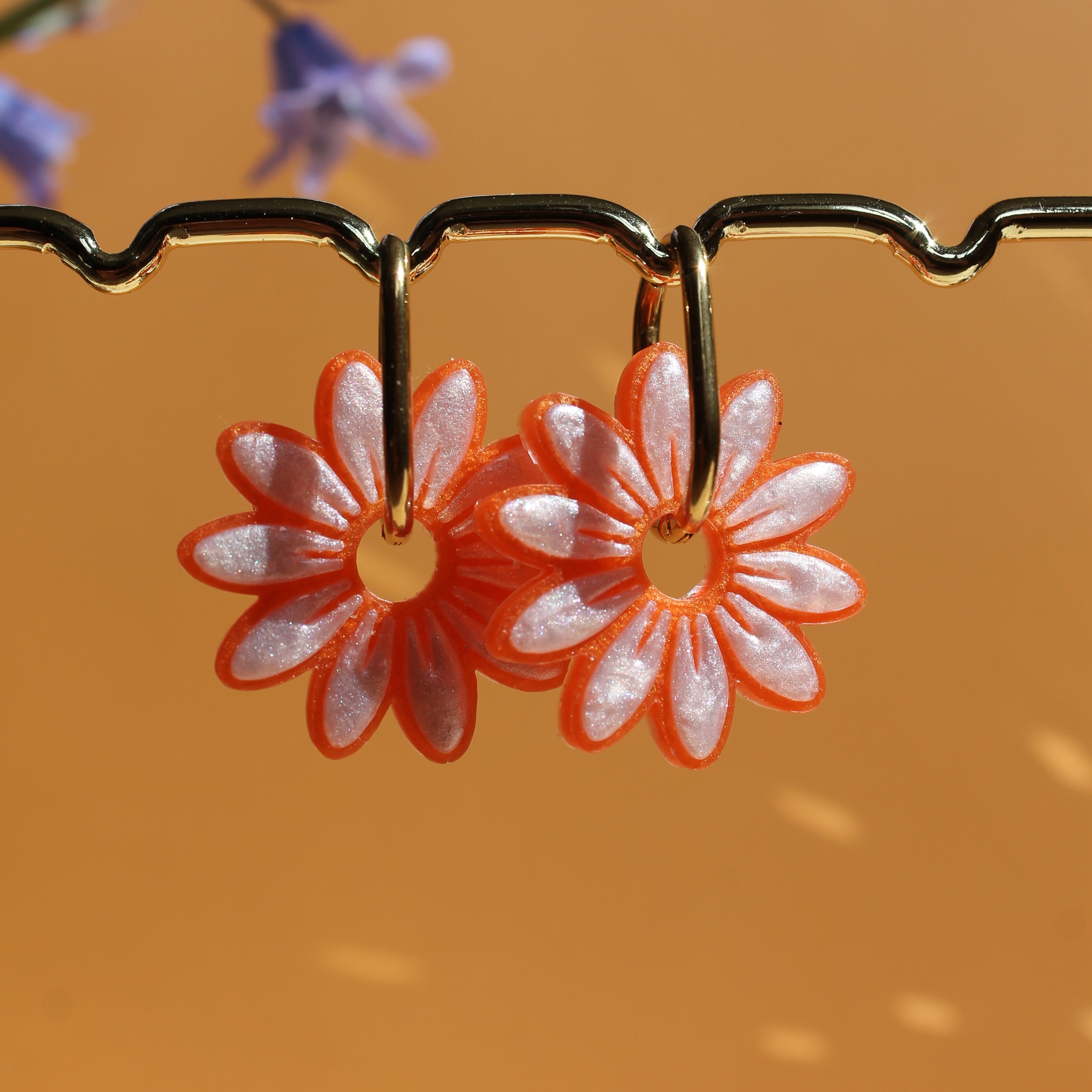 Les marguerites _ Opaline / Clémentine
