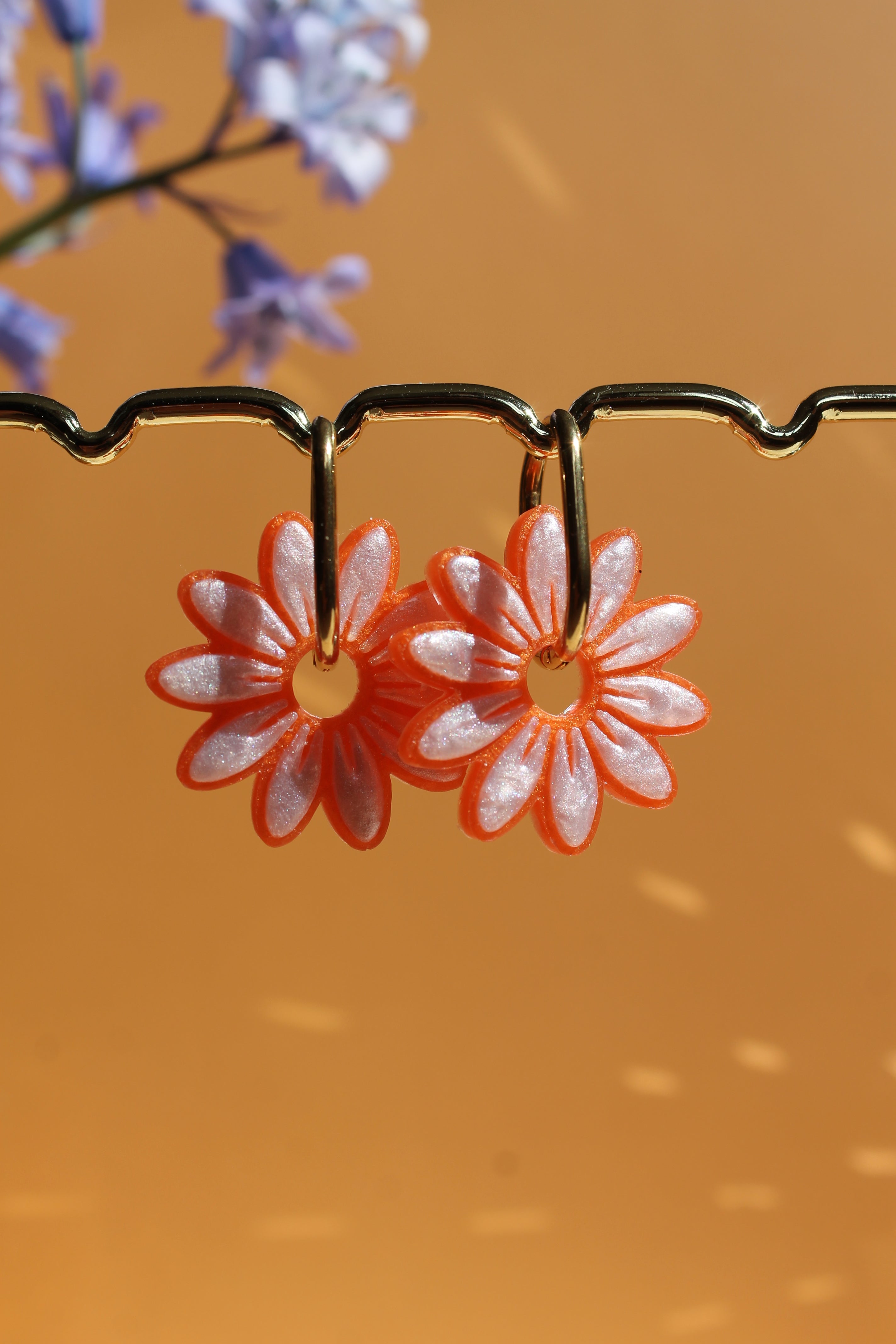 Les marguerites _ Opaline / Clémentine