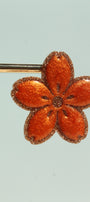 Sakura _ Clémentine
