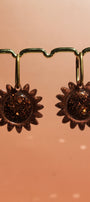 Tournesol _ Chocolat intense