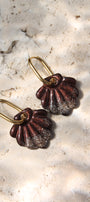 Coquillage _ chocolat intense