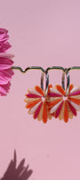 Les Pampas _ Orange / Fuschia