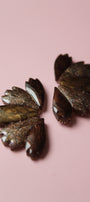Les Plumage _ Marron