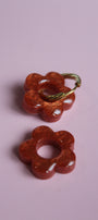 Bloom _ Citrouille